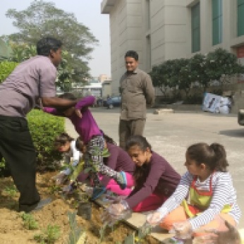 Go Green: Kids planting a sapling